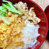 5種の具材の冷たいうどん